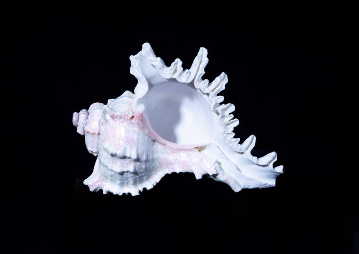 Calcium for Postmenopausal Women | Bone Health Guide