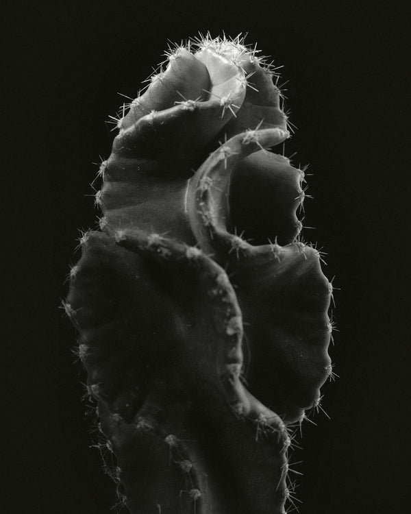 Perimenopause Stress: Understanding & Managing Mid-Life Worry