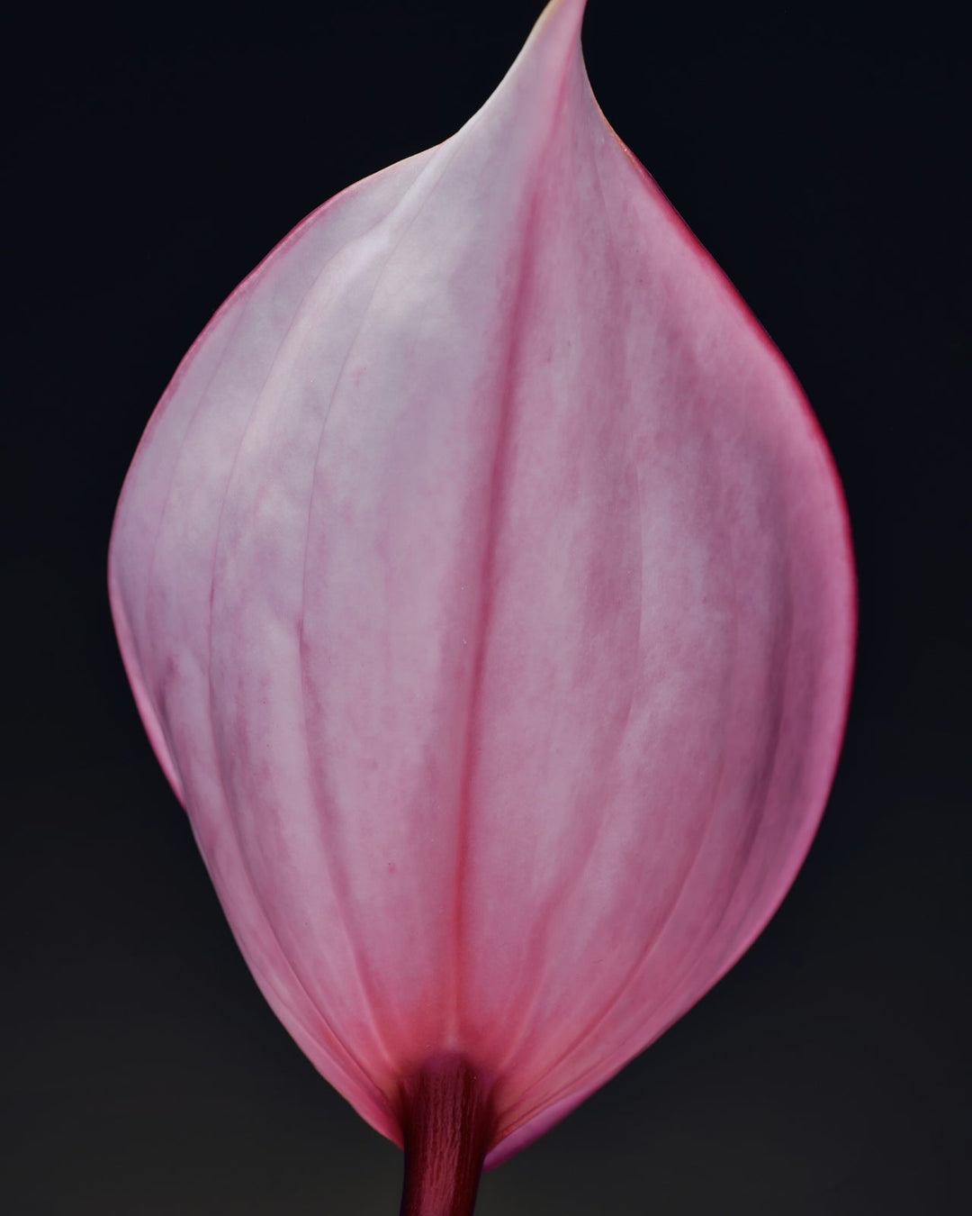 The Vitamins That Actually Help Regulate Your Cycle