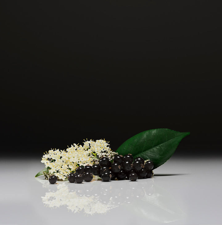 maybe an image about Blackcurrant & Elderflower