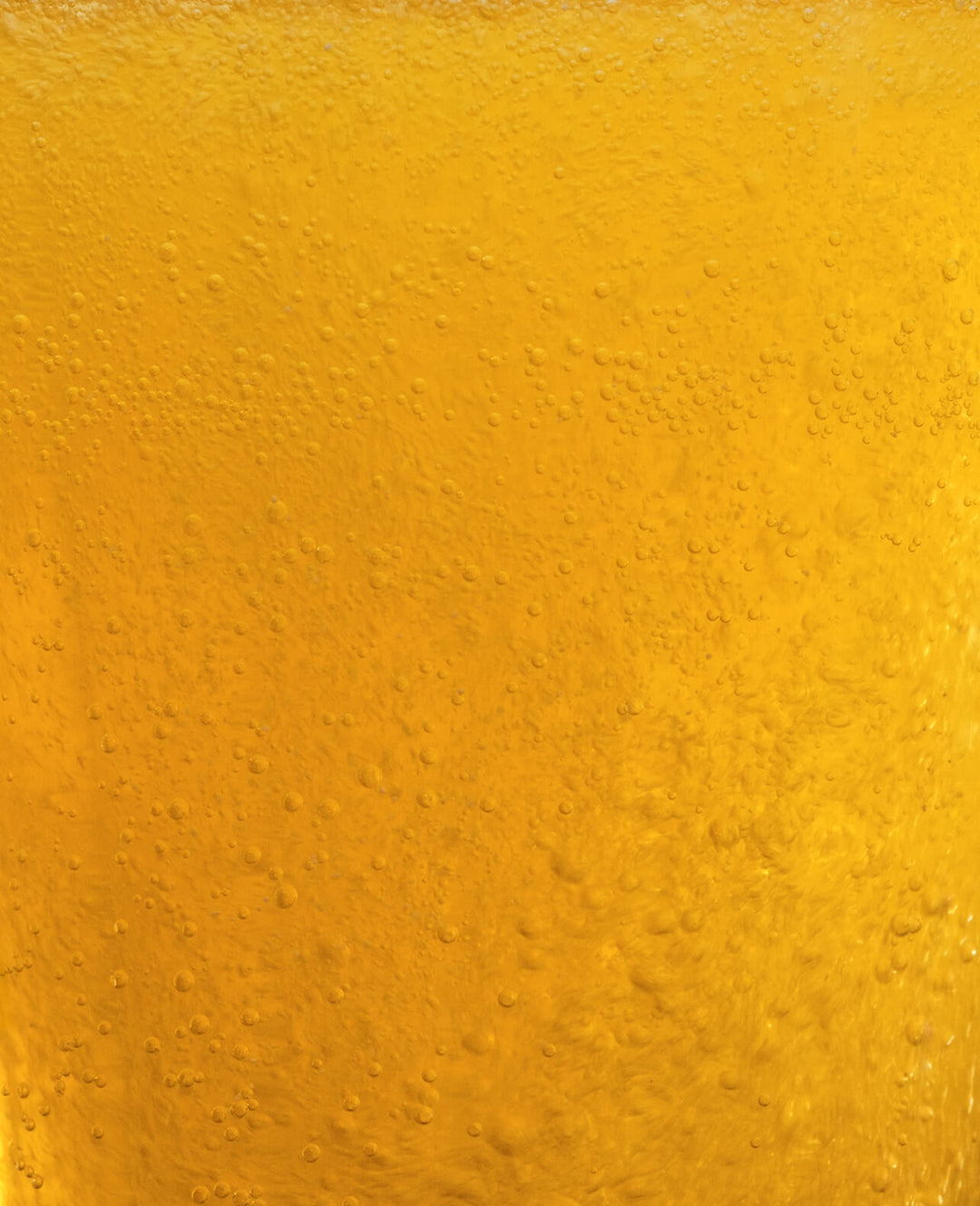 Close-up of golden yellow liquid with bubbles rising through it.