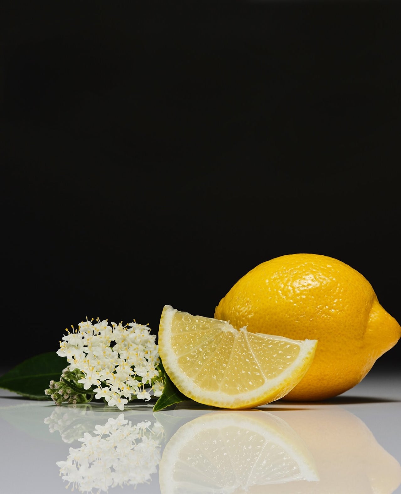 Two lemons and a sprig of white flowers on a reflective surface with a black background