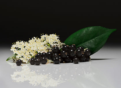 Black berries and white flowers with green leaves on a reflective surface and black background