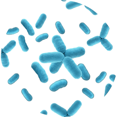 Blue bacteria cells on a white background