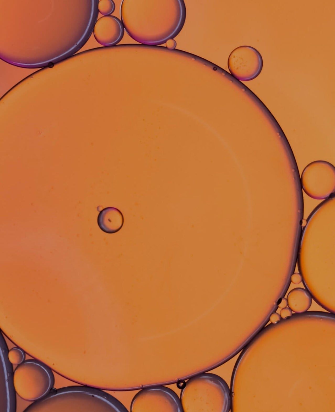 Close-up of orange and purple bubbles on a orange background