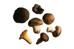 Clear plastic cup with red liquid on a red background