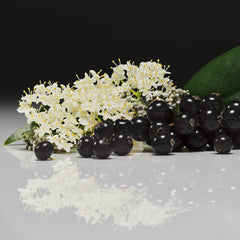 maybe an image about Blackcurrant & Elderflower