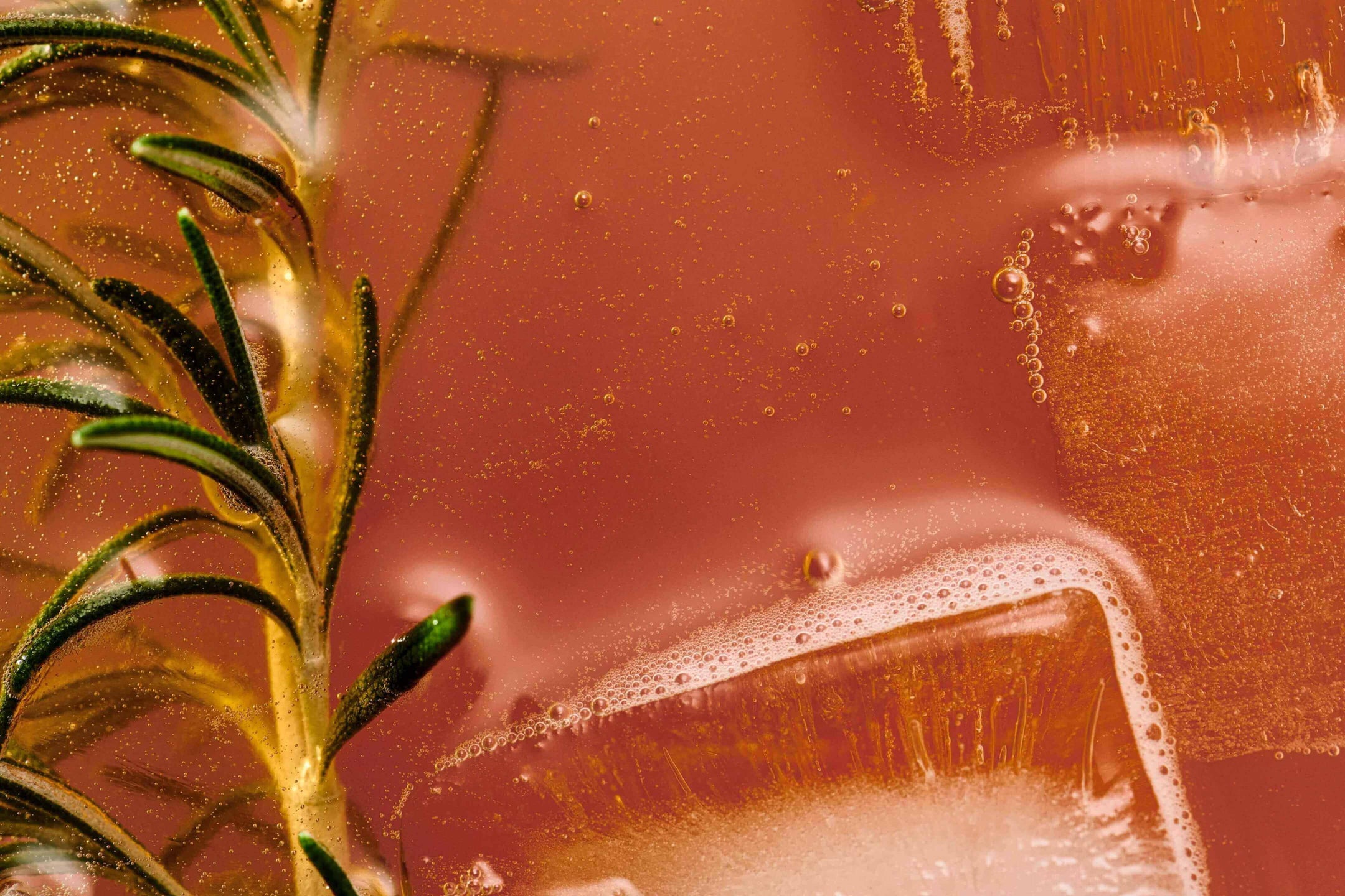 Close-up of a fizzy orange drink with ice cubes and a sprig of rosemary.