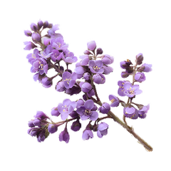 Clear plastic cup with red liquid on a red background