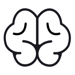 maybe an image about Brain Fog & Focus Issues