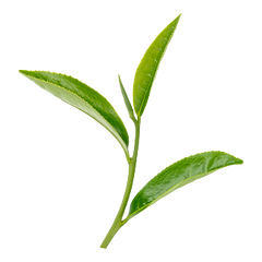 Clear plastic cup with red liquid on a red background