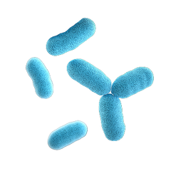 Clear plastic cup with red liquid on a red background